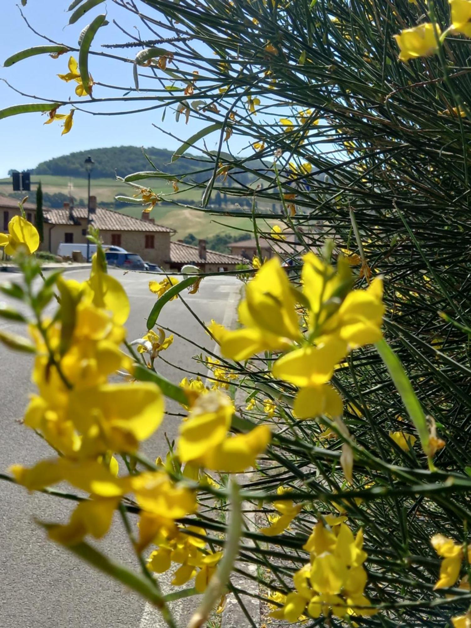 Appartamento Con Vista Panoramica Pienza Exterior foto
